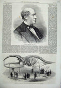 Old Antique Print William Fergusson 1866 Skeleton Whale Museum Surgeons 19th