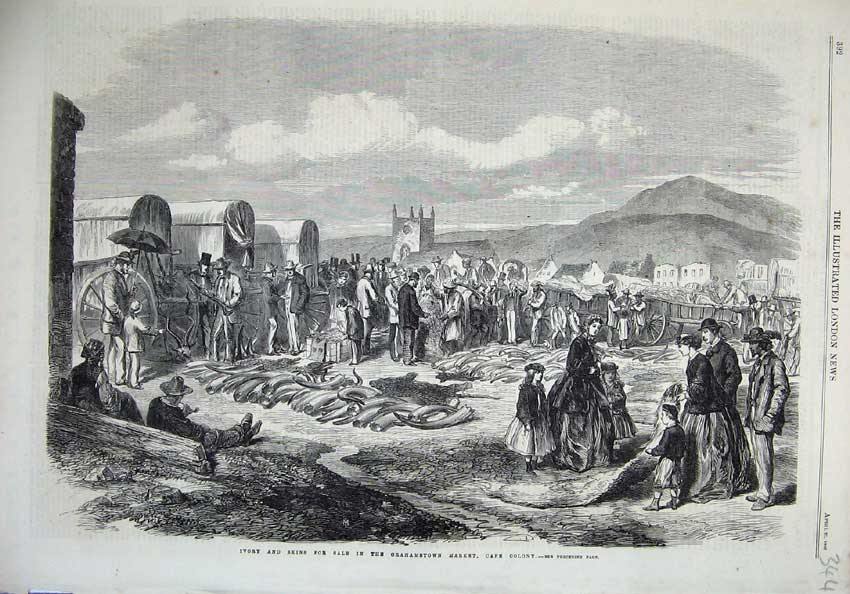 Antique Old Print *0190 1866 Ivory Skins Sale Grahamstown Market Cape Colony