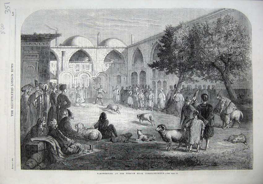 Original Old Antique Print 1866 Ram-Fighting Sheep Persian Khan Constantinople