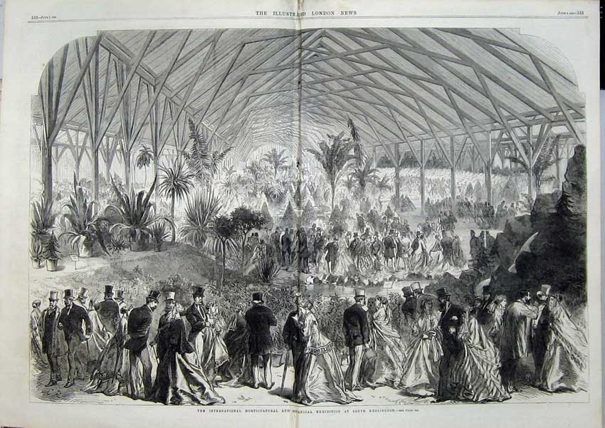 Old Antique Print 1866 Horticultural Botanical Exhibition Kensington Art 19th