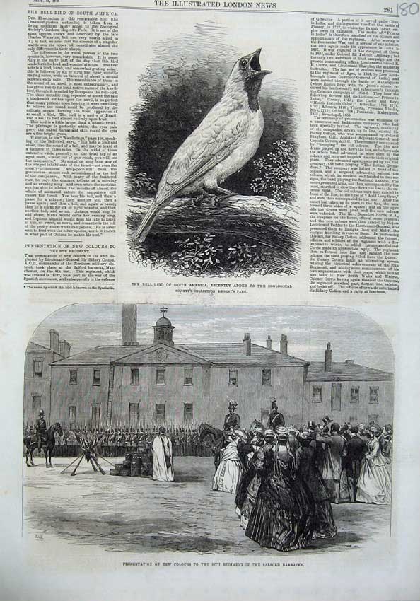 Original Old Antique Print Bell Bird America 1866 Salford Barracks Presentation