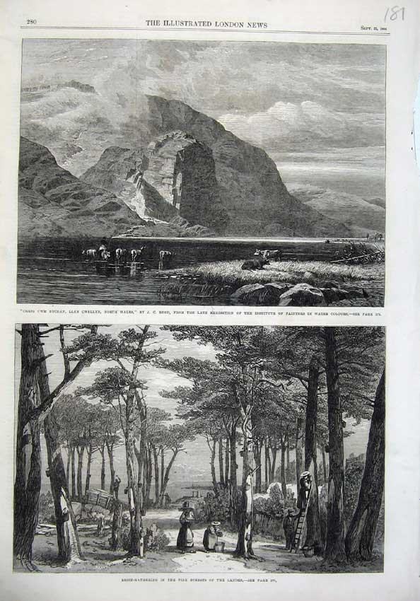 Old Antique Print Fine Art 1866 Craig Bychan Cwellyn Wales Resin Landes 19th