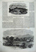 Old Antique Print Dolphin Ziphius 1867 Salmon Ponds Norfolk Australia Art 19th