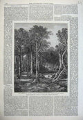 Old Antique Print 1867Paris International Exhibition Woods Trees Fine Art 19th
