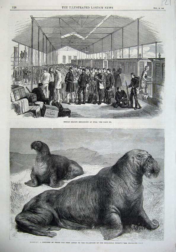 Old Antique Print 1867 Indian Reliefs Men Embarking Suez Walruse Walrus 19th