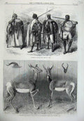 Original Old Antique Print Abyssinian Warriors 1867 Antelopes Soudan Zoological