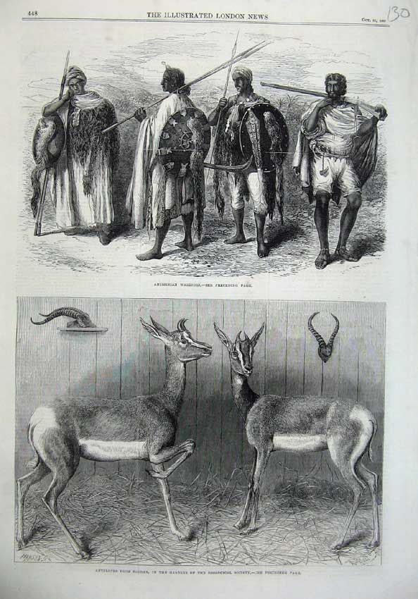 Original Old Antique Print Abyssinian Warriors 1867 Antelopes Soudan Zoological
