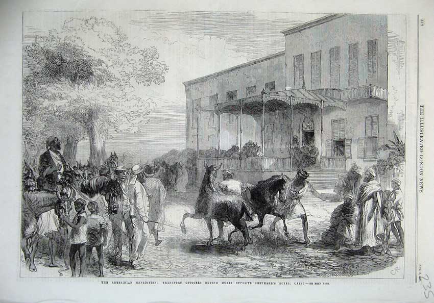 Original Old Antique Print 1867 Abyssinian Transport Officers Mules Hotel Cairo