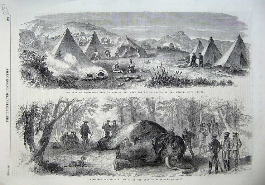 Original Old Antique Print 1867 Duke Edinburgh Camp Buffalo Nek Africa Elephant