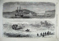 Old Antique Print 1867 Duke Edinburgh Ship Racoon Petrel Elephant Hunting 19th