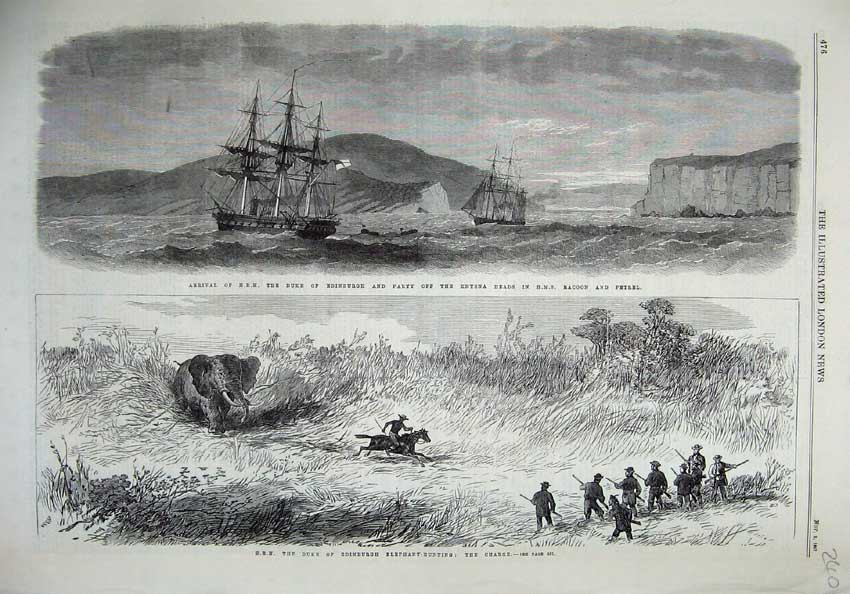 Old Antique Print 1867 Duke Edinburgh Ship Racoon Petrel Elephant Hunting 19th