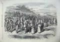 Old Antique Print 1867 Garibaldians Bangnorea Roman States War Army Art 19th
