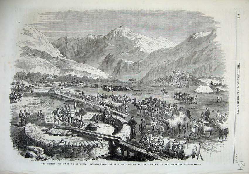 Original Old Antique Print 1868 Abyssinia Watering Place Animals Koomaylee Pass