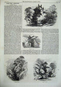 Original Old Antique Print Cawdor Castle Entrance Gate Woods River Bridge 1868