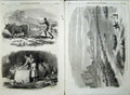 Antique Old Print 1868 Abyssinian Native Ploughing Woman Corn Army Senafe 19th