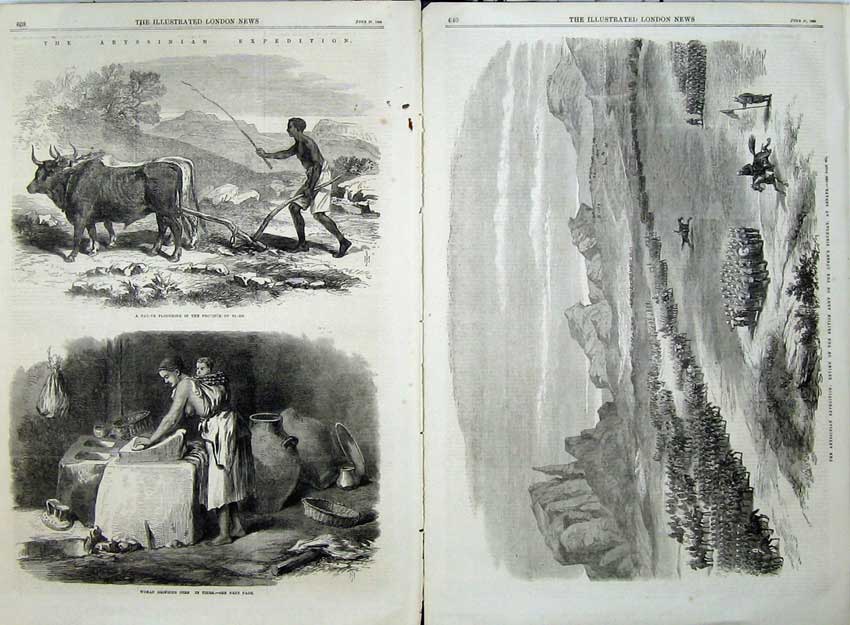 Antique Old Print 1868 Abyssinian Native Ploughing Woman Corn Army Senafe 19th