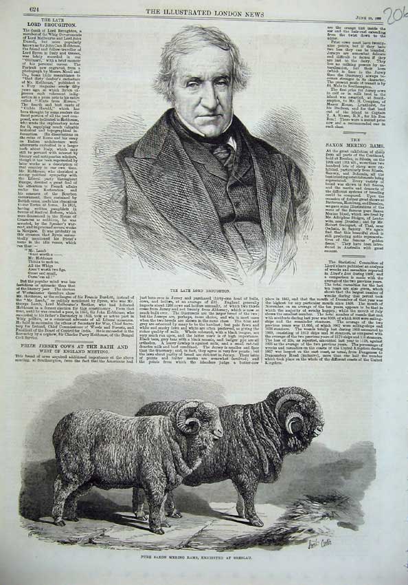 Original Old Antique Print Lord Broughton 1869 Saxon Marino Rams Sheep Breslau