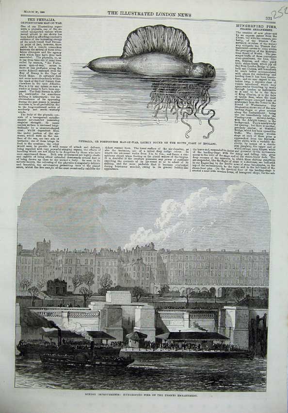 Old Antique Print Hungerford Pier River Thames 1869 Physalia Man-Of-War 19th