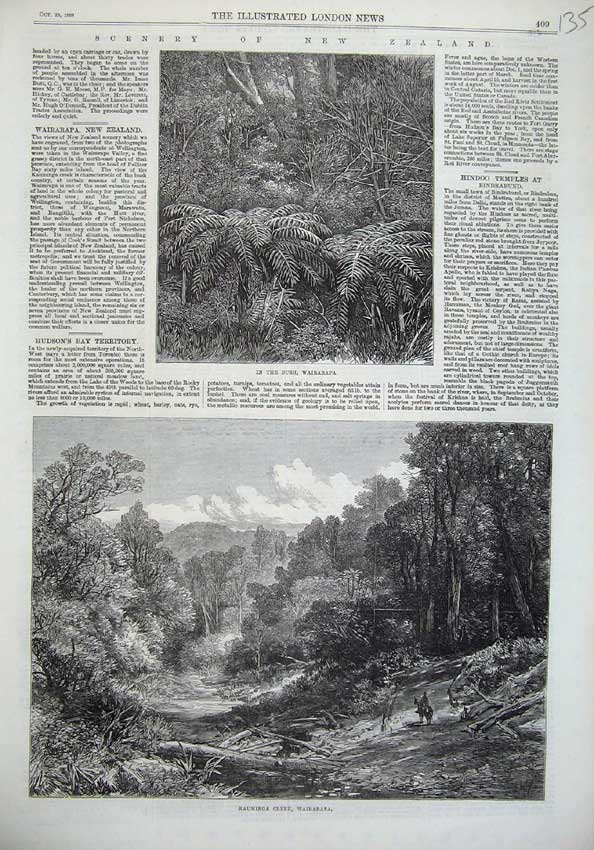 Old Antique Print 1869 New Zealand Bush Kauminga Creek Wairarapa Fine Art 19th