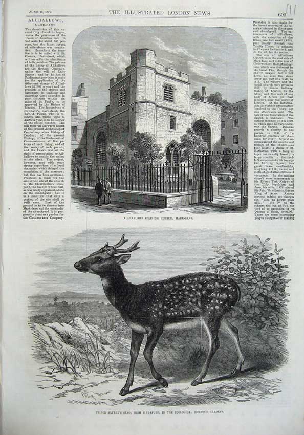 Old Antique Print Allhallows Staining Church 1870 Prince Alfred Stag Art 19th