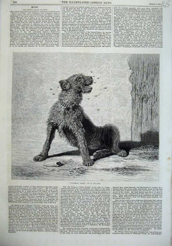 Original Old Antique Print 1870 Scruffy Dog Catching Flies Riviere Victorian