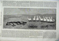 Original Old Antique Print 1870 Country Scene Dead Fox Geese Riviere Animals