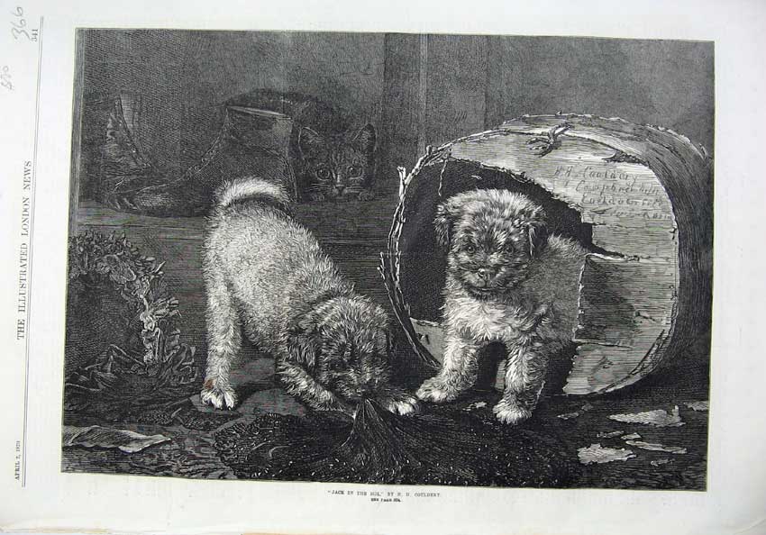 Old Antique Print 1870 Fine Art Cute Puppies Playing Cloth Box Dogs Cat 19th