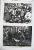 Original Old Antique Print Cattle Show Birmingham Fine Art 1870 Holborn Theatre