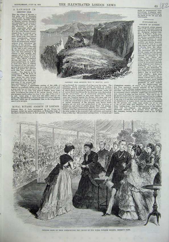 Original Old Antique Print Princess Mary Teck Botanic 1870 Landslip Isle Sheppy