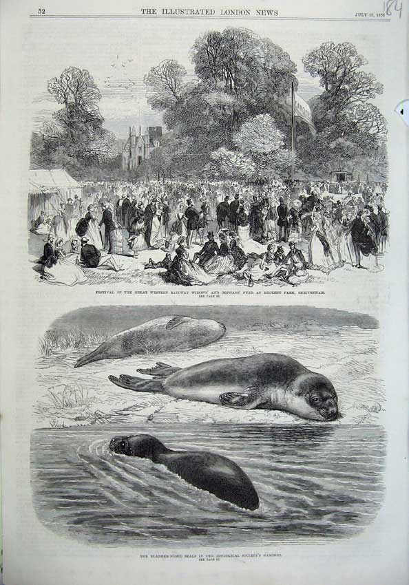 Old Antique Print Bladder-Nose Seals 1870 Festival Beckett Shrivenham Art 19th