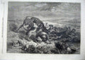 Original Old Antique Print Fine Art 1870 Wild Dogs Attacking Deer Stag Country