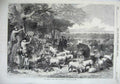 Old Antique Print 1870 Defence Paris Cattle Sheep Bois De Boulogne France 19th
