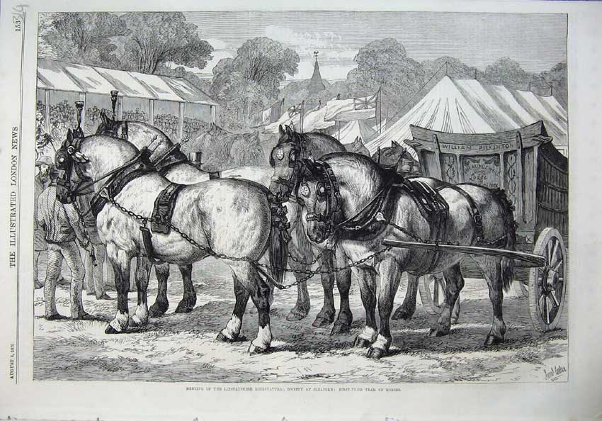 Old Antique Print 1870 Lincolnshire Agricultural Show Sleaford Horses Art 19th