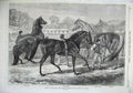 Old Antique Print 1870 Thoroughbred Horses Yearling Sale Eltham Fine Art 19th