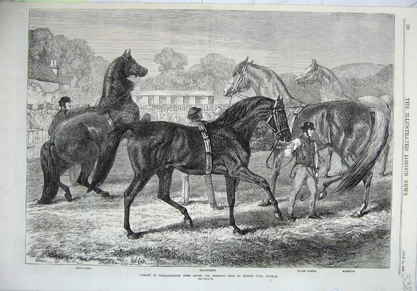Old Antique Print 1870 Thoroughbred Horses Yearling Sale Eltham Fine Art 19th
