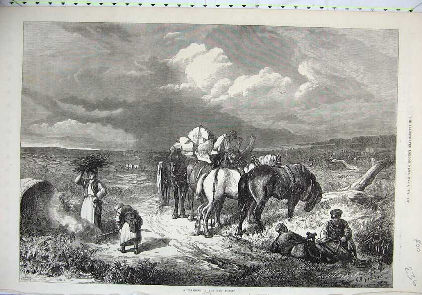 Original Old Antique Print 1871 Clearing New Forest Horses Cart People Fine Art