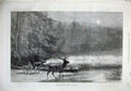 Original Old Antique Print 1871 Deer Stag Fawn Moonlight Lake Trees Fine Art