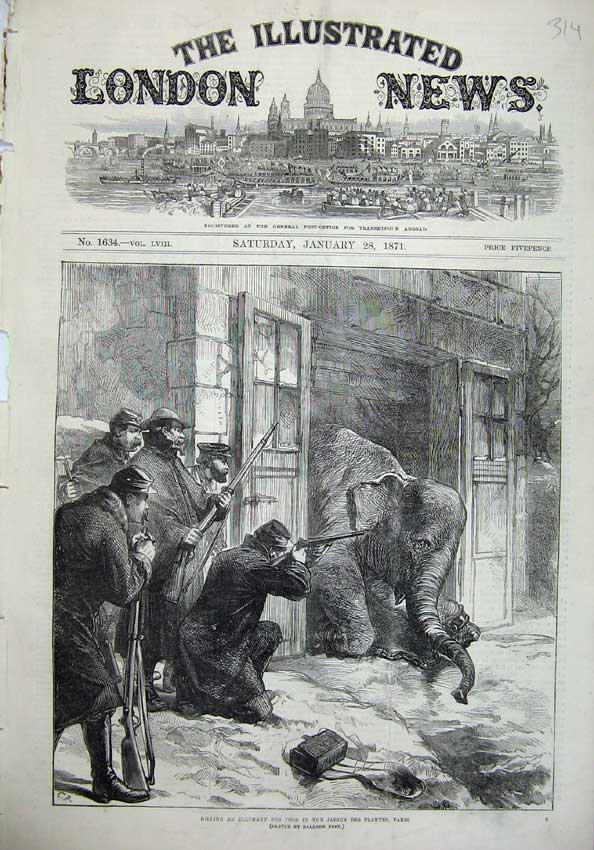 Old Antique Print 1871 Killing Elephant Jardin Des Plantes Paris France 19th