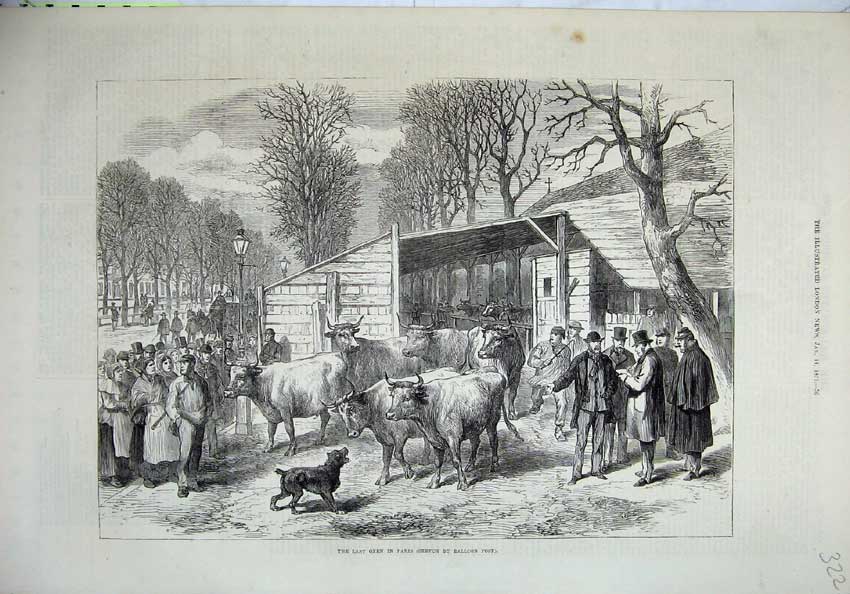 Original Old Antique Print Oxen Paris France 1871 Dog People Country Trees 19th