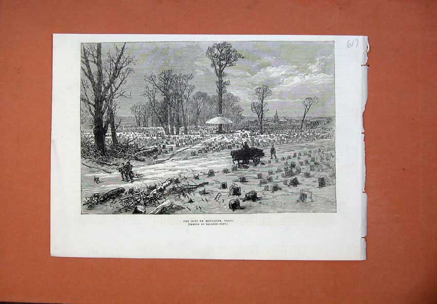 Old Antique Print 1871 View Bois De Boulogne Paris France Trees Horse Dog 19th