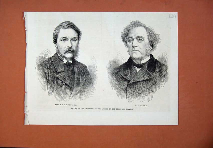 Original Old Antique Print Major Hamilton Mr Morley 1871 Address Lords Commons