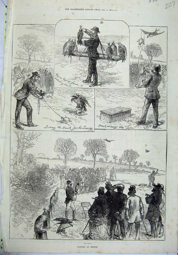 Original Old Antique Print 1871 Hawking Hendon Birds Men Sport Exhibition 19th