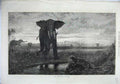 Original Old Antique Print 1871 Fine Art Indian Desert Elephant Tiger Animal