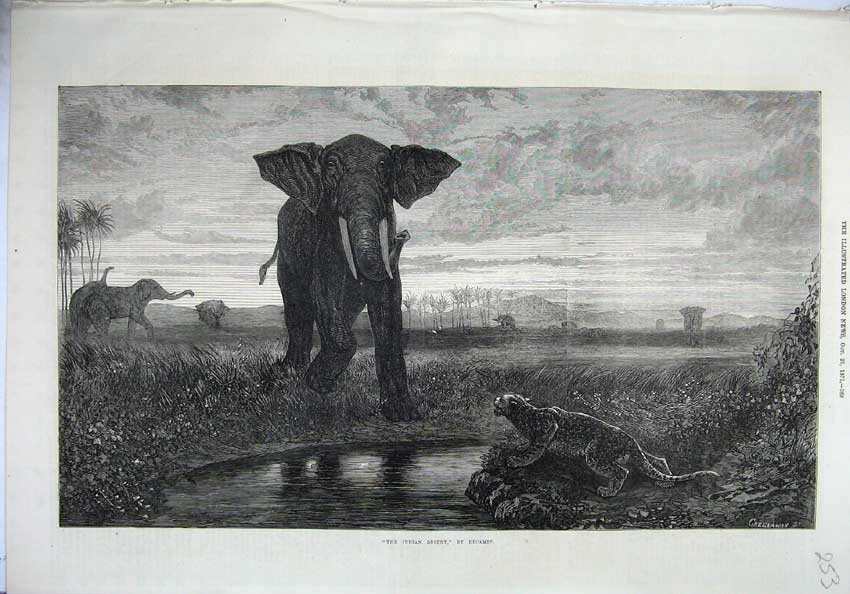 Original Old Antique Print 1871 Fine Art Indian Desert Elephant Tiger Animal