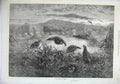 Old Antique Print 1871 Fine Art Grouse Birds Nature Hills Country Animals 19th