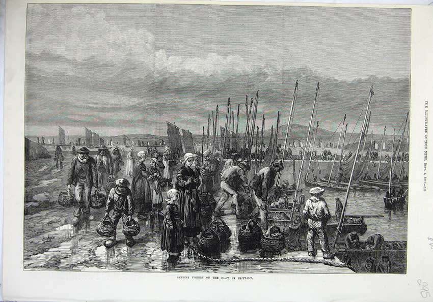 Original Old Antique Print 1871 Sardine Fishery Brittany France Boats Fine Art