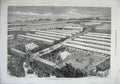 Old Antique Print 1871 Irish Royal Agricultural Society Show Dublin Cows 19th