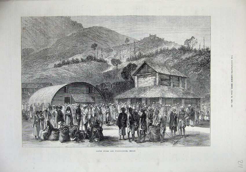 Original Old Antique Print 1872 Coffee Stores Pulping House Ceylon Mountains