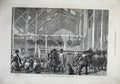 Old Antique Print 1872 Foreign Cattle Market Deptford Central Shed Sheep 19th