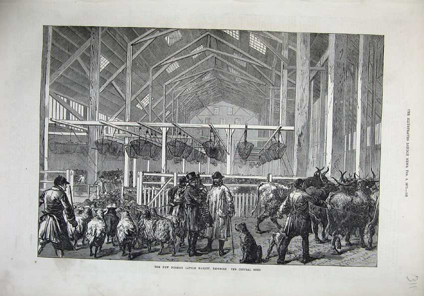 Old Antique Print 1872 Foreign Cattle Market Deptford Central Shed Sheep 19th
